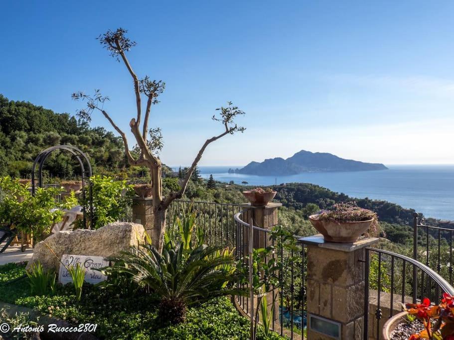 Capri Wonderful View *