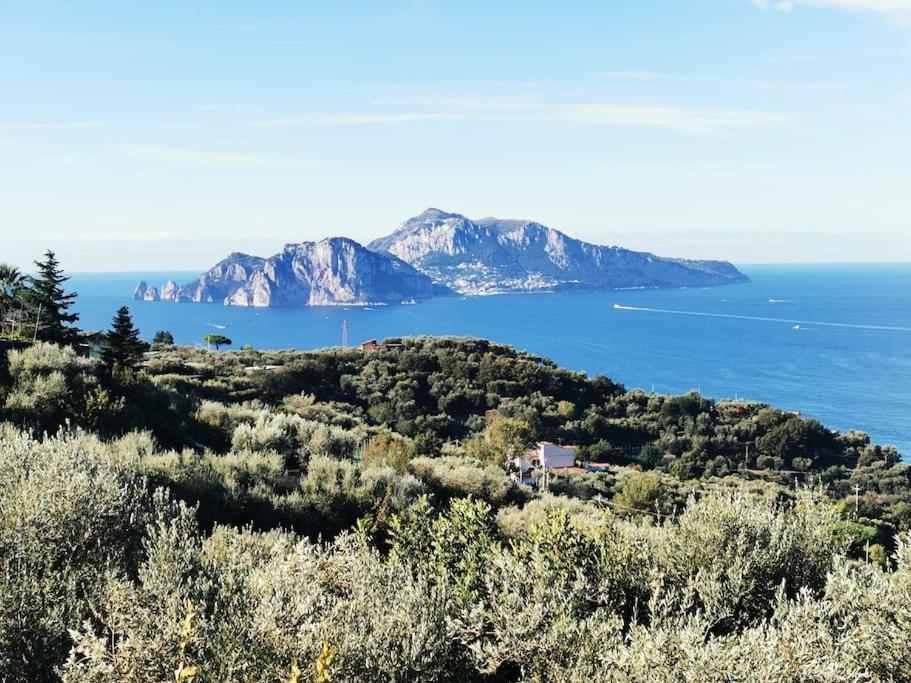 Capri Wonderful View Holiday home *